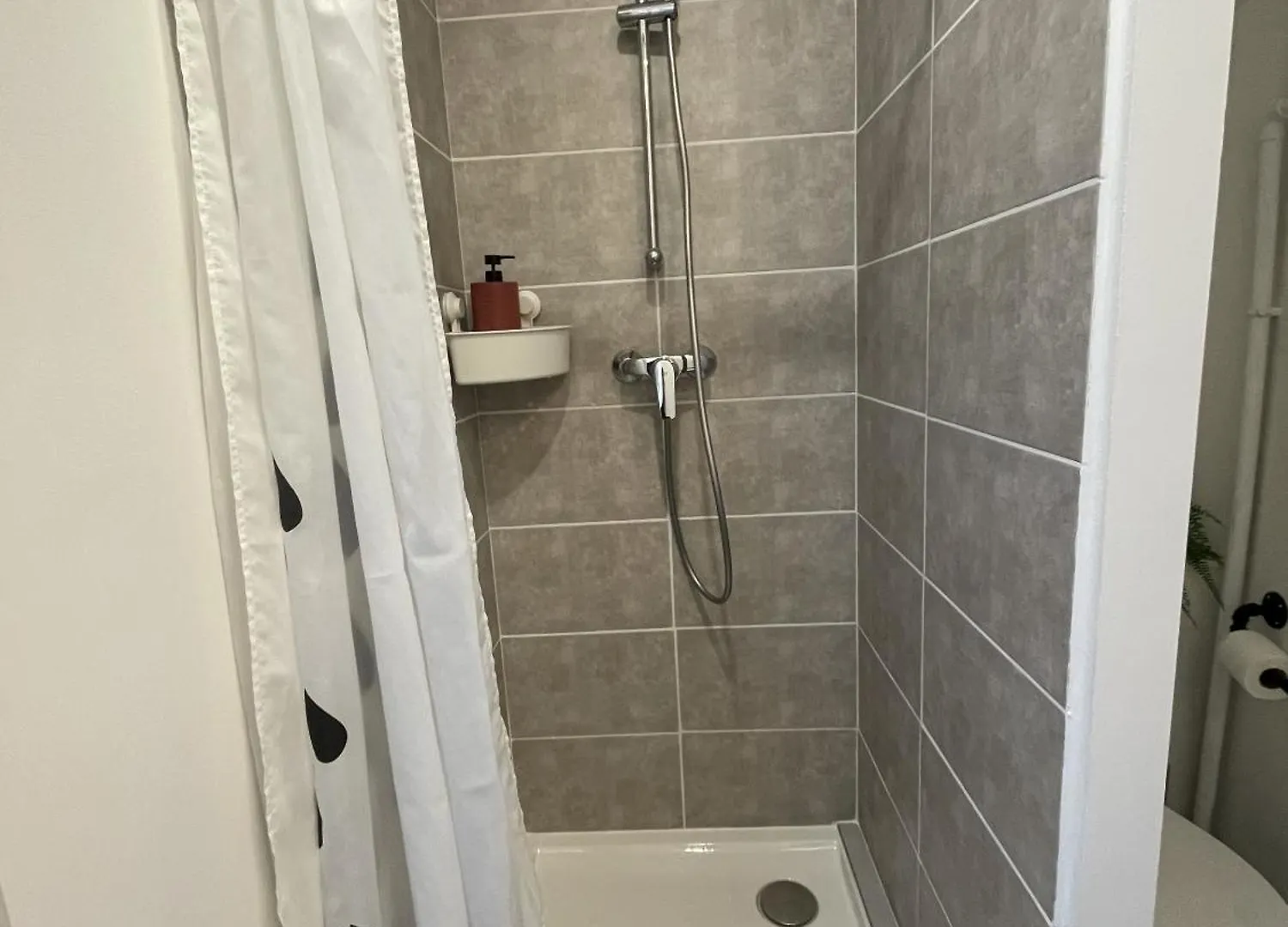 Appartement Breuil Station, Appart central et lumineux La Mure